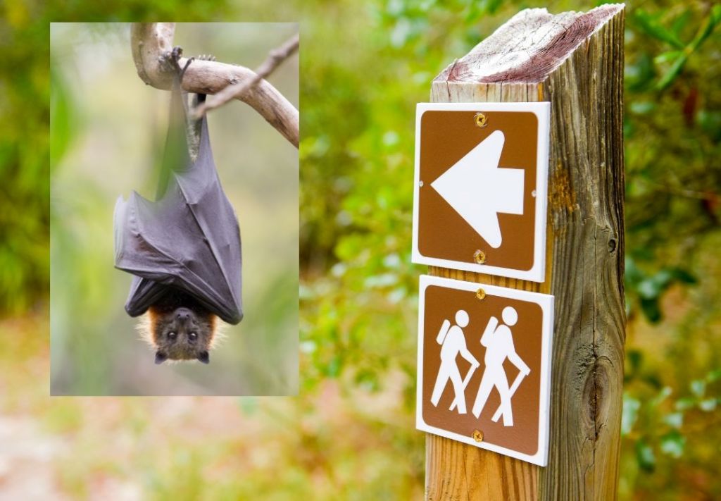 Riberbend Park ofrece nuevas aventuras de Halloween