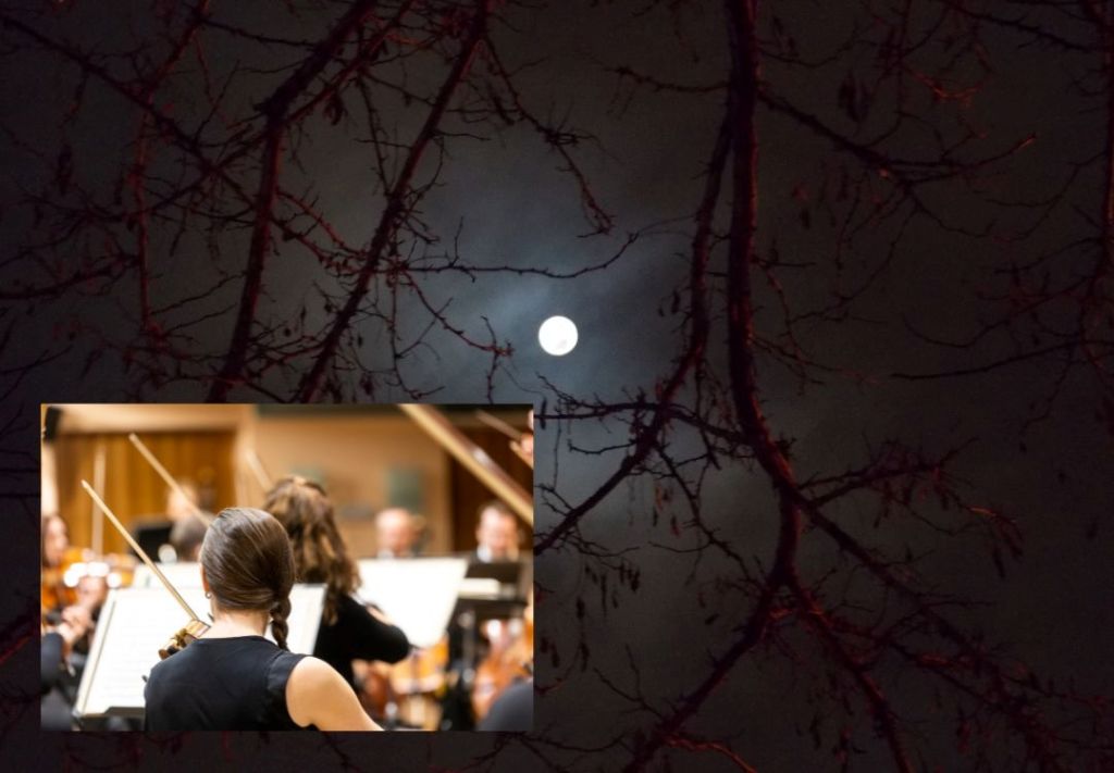 ¿Será posible vivir una “pesadilla” en una historia de Navidad?